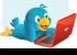 Negocios en Twitter